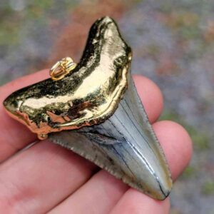 Gold Plated Megalodon Tooth Pendant
