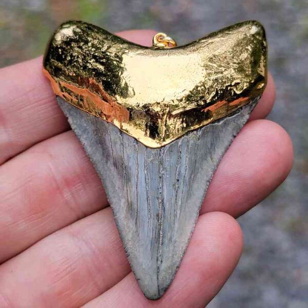 Gold Plated Megalodon Tooth Pendant