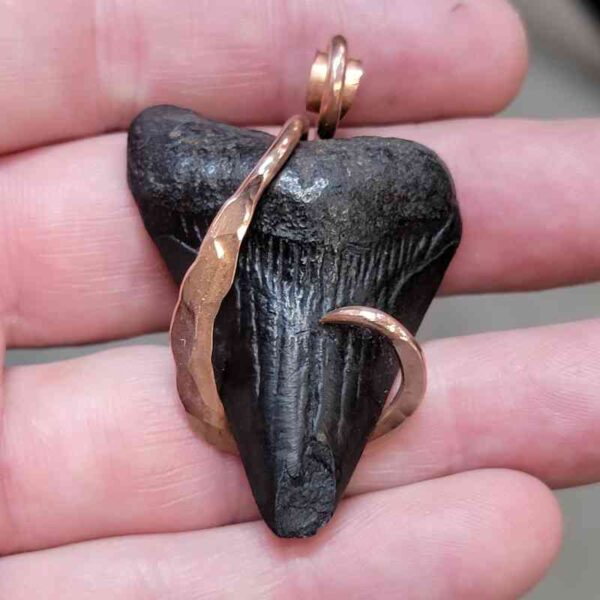 Copper Hook  Wrapped Megalodon Shark Tooth Pendants/Necklace - #1