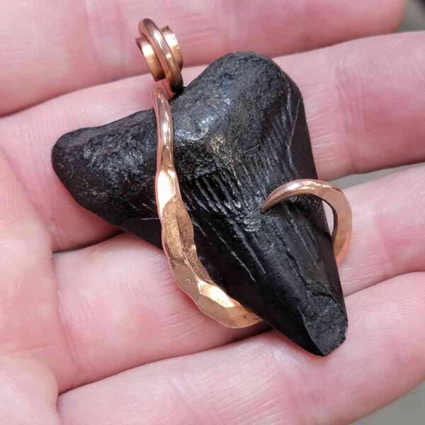 Copper Hook  Wrapped Megalodon Shark Tooth Pendants/Necklace - #1 - Image 2