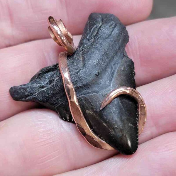 Copper Hook  Wrapped Megalodon Shark Tooth Pendants/Necklace - #2 - Image 2