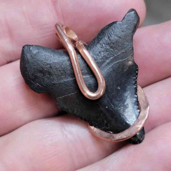 Copper Hook  Wrapped Megalodon Shark Tooth Pendants/Necklace - #2 - Image 3