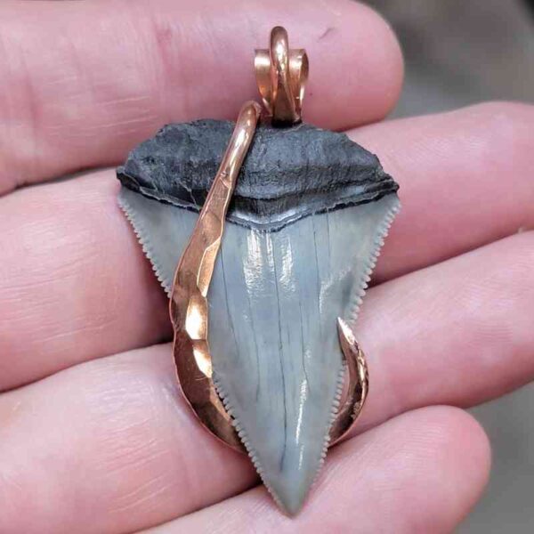 Copper Hook  Wrapped Megalodon Shark Tooth Pendants/Necklace - #3