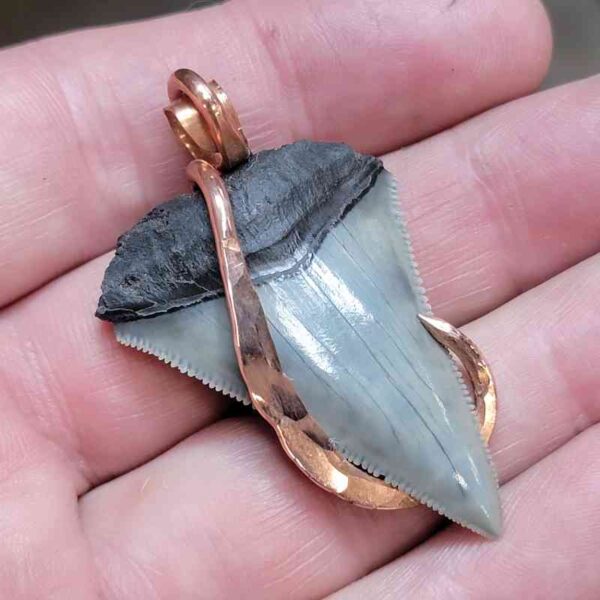 Copper Hook  Wrapped Megalodon Shark Tooth Pendants/Necklace - #3 - Image 2