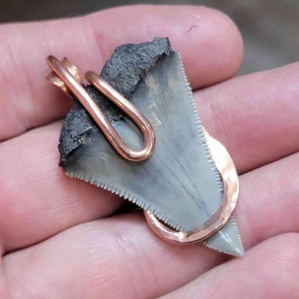 Copper Hook  Wrapped Megalodon Shark Tooth Pendants/Necklace - #3 - Image 3