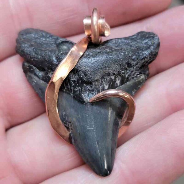 Copper Hook  Wrapped Megalodon Shark Tooth Pendants/Necklace - #5