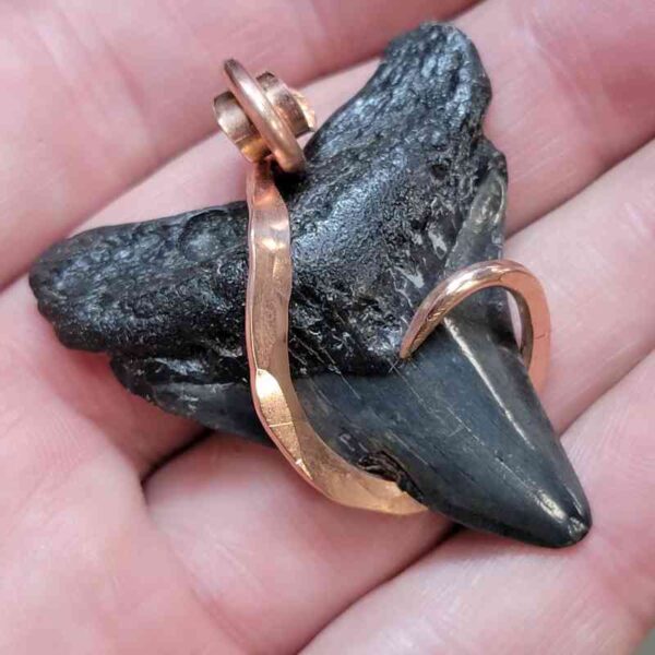 Copper Hook  Wrapped Megalodon Shark Tooth Pendants/Necklace - #5 - Image 2