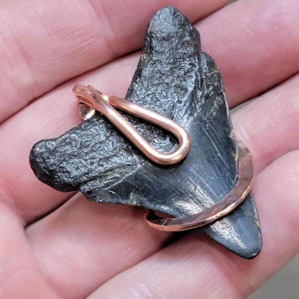 Copper Hook  Wrapped Megalodon Shark Tooth Pendants/Necklace - #5 - Image 3