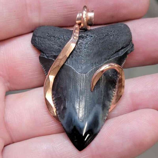 Copper Hook  Wrapped Megalodon Shark Tooth Pendants/Necklace - #6