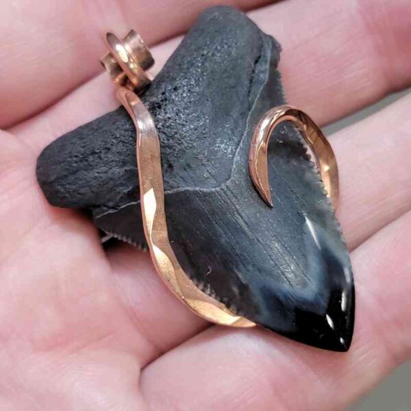 Copper Hook  Wrapped Megalodon Shark Tooth Pendants/Necklace - #6 - Image 2