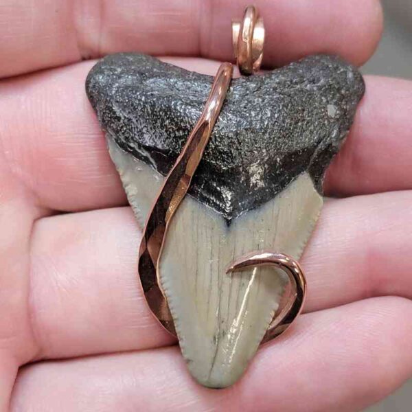Copper Hook  Wrapped Megalodon Shark Tooth Pendants/Necklace - #8