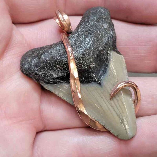 Copper Hook  Wrapped Megalodon Shark Tooth Pendants/Necklace - #8 - Image 2