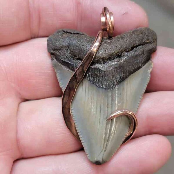 Copper Hook  Wrapped Megalodon Shark Tooth Pendants/Necklace - #9
