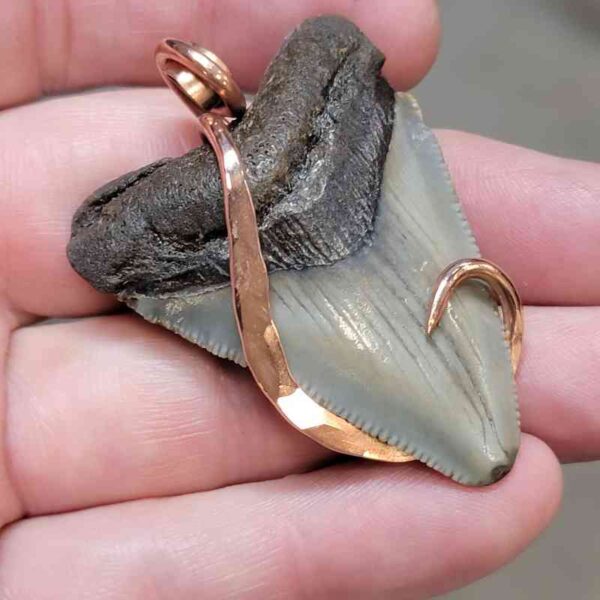 Copper Hook  Wrapped Megalodon Shark Tooth Pendants/Necklace - #9 - Image 2