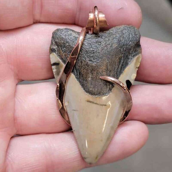 Copper Hook  Wrapped Megalodon Shark Tooth Pendants/Necklace - #10