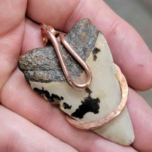 Copper Hook  Wrapped Megalodon Shark Tooth Pendants/Necklace - #10 - Image 3
