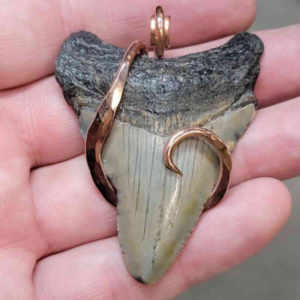 Copper Hook  Wrapped Megalodon Shark Tooth Pendants/Necklace - #11