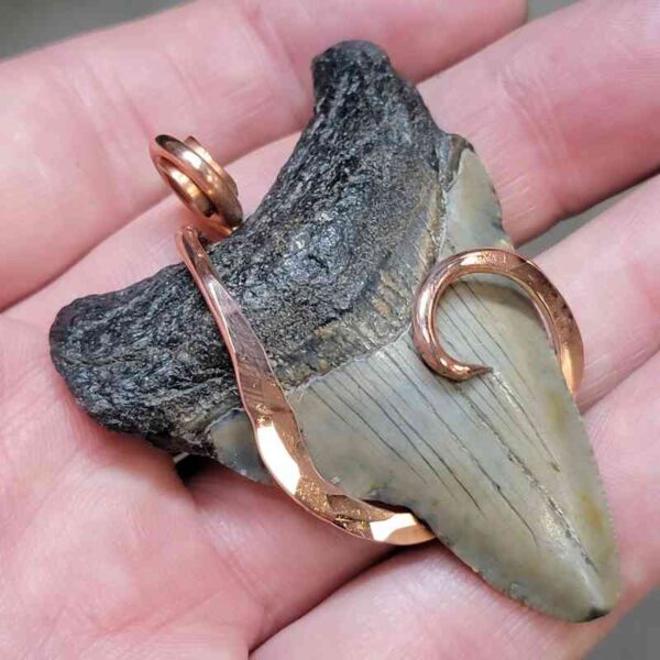 Copper Hook  Wrapped Megalodon Shark Tooth Pendants/Necklace - #11 - Image 2