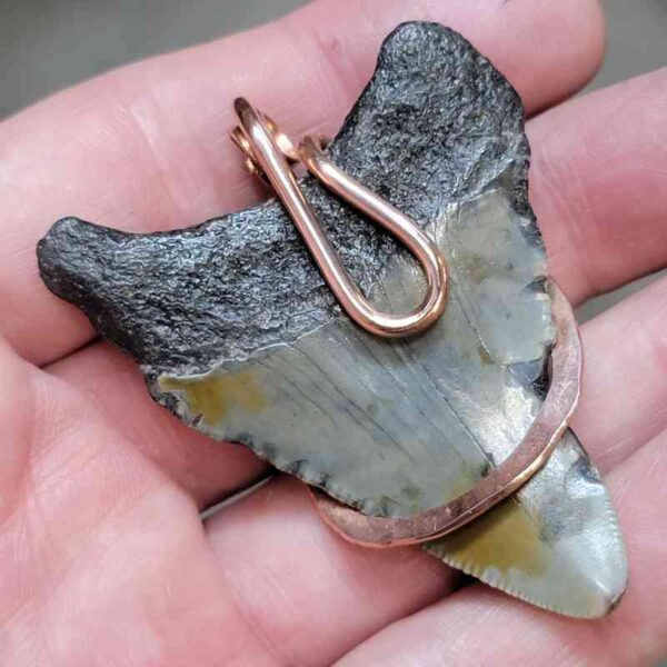 Copper Hook  Wrapped Megalodon Shark Tooth Pendants/Necklace - #11 - Image 3