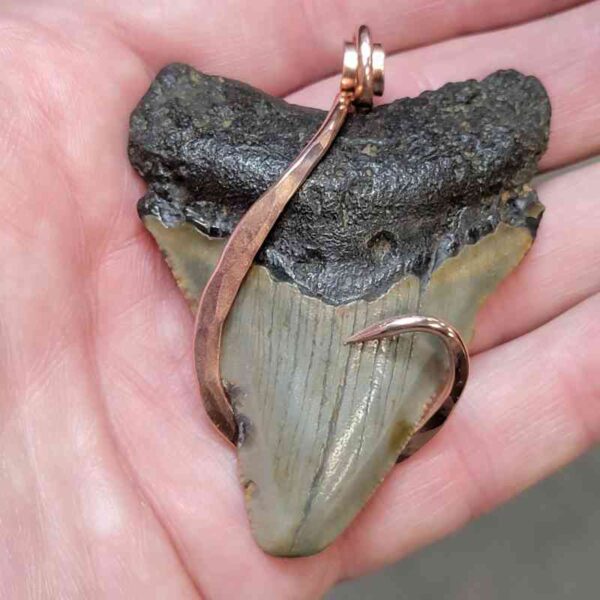 Copper Hook  Wrapped Megalodon Shark Tooth Pendants/Necklace - #13