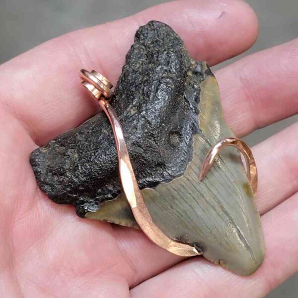 Copper Hook  Wrapped Megalodon Shark Tooth Pendants/Necklace - #13 - Image 2