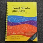  Cover of The Collector's Guide to Fossil Sharks and Rays from the Cretaceous of Texas