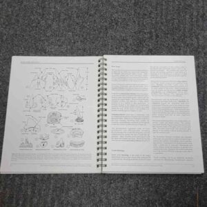 Fossils from the Cretaceous of Texas