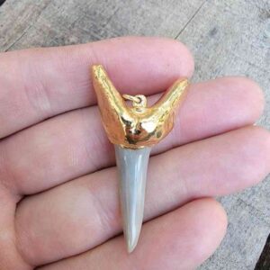 Gold Capped Fossil Mako Pendant