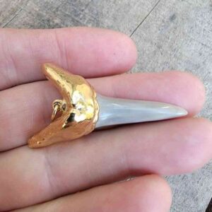Gold Capped Fossil Megalodon Pendant