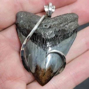 .925 Sterling Silver Hook Wrapped Megalodon Shark Tooth Necklace/Pendant