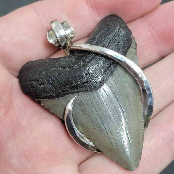 .925 Sterling Silver Hook Wrapped Megalodon Shark Tooth Necklace/Pendant - #12 - Image 2