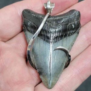 .925 Sterling Silver Hook Wrapped Megalodon Shark Tooth Necklace/Pendant - #13