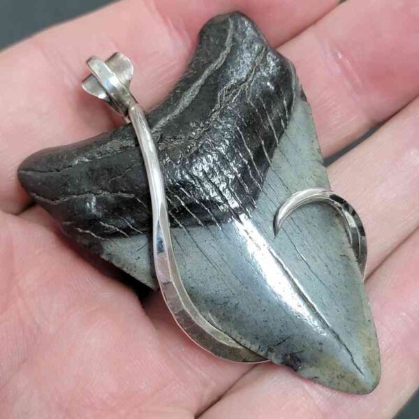 .925 Sterling Silver Hook Wrapped Megalodon Shark Tooth Necklace/Pendant - #13 - Image 2