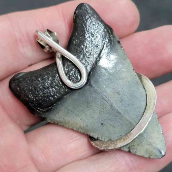 .925 Sterling Silver Hook Wrapped Megalodon Shark Tooth Necklace/Pendant - #13 - Image 3
