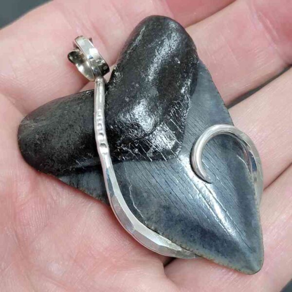 .925 Sterling Silver Hook Wrapped Megalodon Shark Tooth Necklace/Pendant - #14 - Image 2