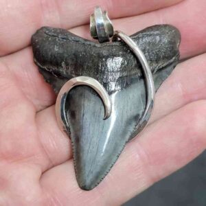 .925 Sterling Silver Hook Wrapped Megalodon Shark Tooth Necklace/Pendant - #16
