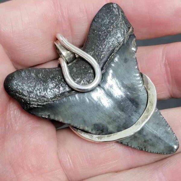.925 Sterling Silver Hook Wrapped Megalodon Shark Tooth Necklace/Pendant - #16 - Image 3