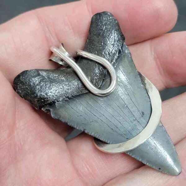 .925 Sterling Silver Hook Wrapped Megalodon Shark Tooth Necklace/Pendant - #18 - Image 3