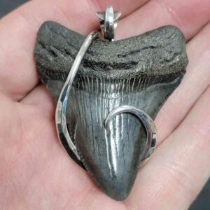 .925 Sterling Silver Hook Wrapped Megalodon Shark Tooth Necklace/Pendant - #19