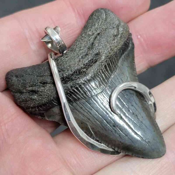 .925 Sterling Silver Hook Wrapped Megalodon Shark Tooth Necklace/Pendant - #19 - Image 2