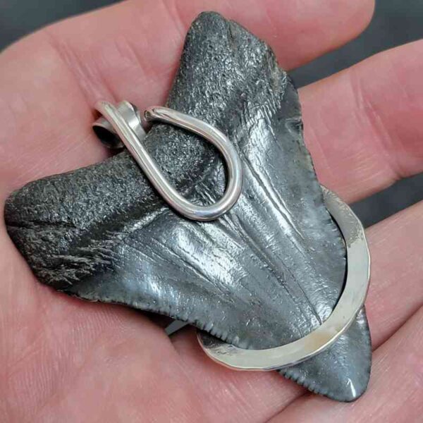 .925 Sterling Silver Hook Wrapped Megalodon Shark Tooth Necklace/Pendant - #19 - Image 3