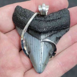 .925 Sterling Silver Hook Wrapped Megalodon Shark Tooth Necklace/Pendant - #21