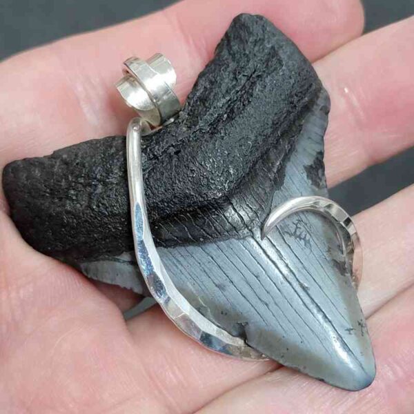 .925 Sterling Silver Hook Wrapped Megalodon Shark Tooth Necklace/Pendant - #21 - Image 2