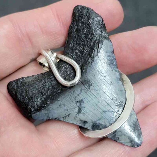 .925 Sterling Silver Hook Wrapped Megalodon Shark Tooth Necklace/Pendant - #21 - Image 3