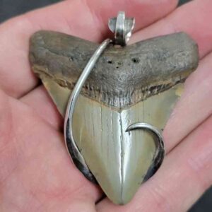 .925 Sterling Silver Hook Wrapped Megalodon Shark Tooth Necklace/Pendant - #22