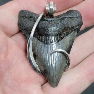 .925 Sterling Silver Hook Wrapped Megalodon Shark Tooth Necklace/Pendant - #23