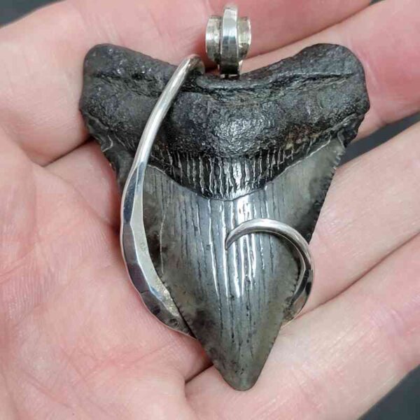 .925 Sterling Silver Hook Wrapped Megalodon Shark Tooth Necklace/Pendant - #23