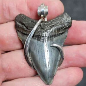 .925 Sterling Silver Hook Wrapped Megalodon Shark Tooth Necklace/Pendant - #3