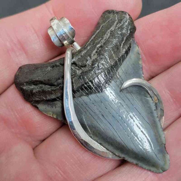 .925 Sterling Silver Hook Wrapped Megalodon Shark Tooth Necklace/Pendant - #3 - Image 2