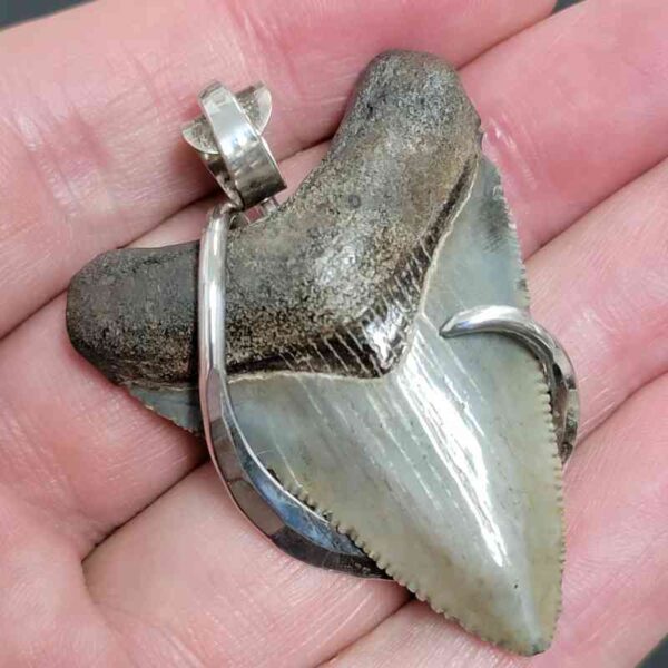 .925 Sterling Silver Hook Wrapped Megalodon Shark Tooth Necklace/Pendant - #4 - Image 2